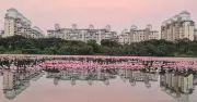 Centre Backs Flamingo Blue Carbon Urban Complex in Mumbai Region