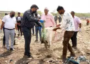 Chandigarh Civic Body Removes 22 Tonnes of Non-Biodegradable Waste from Dadumajra Dumping Site