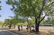 Chandigarh Flyover Project Faces Growing Criticism Over Traffic Relief Doubts