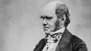 Charles Darwin's Regret: A Lesson on Balance and the Joy of Poetry and Music
