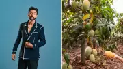 Chef Ranveer Brar Sparks Debate Over Aamras Recipe