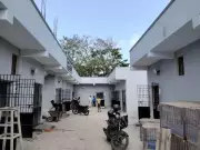 Chennai Corp Sterilises 3,500 Stray Dogs Monthly, Plans More Centres