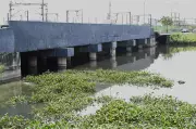 Chennai Residents Oppose Eco Park Project Over Flooding Fears