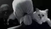 Choupette the Cat: From Karl Lagerfeld's Pet to a Symbol of Wealth Inequality