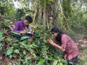 Class 10 student documents 21 tiny wildflowers in summer vacation booklet