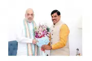 CM Dr Yadav Holds Key Meetings in New Delhi to Boost State Development