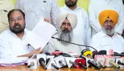 Congress Alleges Bogus Voter Entries Ahead of Adampur MC Poll
