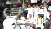 Congress protests rising fuel and milk prices with bullock carts