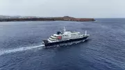 Countries Track Passengers of Hantavirus-Hit Cruise Ship