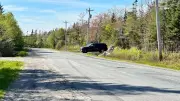 Couple Charged After Newborn's Body Found in Canada Woods