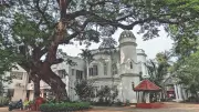 CPR Foundation: 60 Years of History, Compassion, and Culture in Chennai