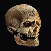 Cro-Magnon Discovery: How 1868 Cave Find Reshaped Human Evolution