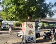 CSMC Warns Legal Action for Damaging Trees Ahead of Monsoon