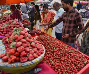 Dang District in Gujarat Emerges as Leading Strawberry Producer with Natural Farming