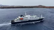 Deadly Andes Hantavirus Outbreaks Traced to Antarctic Cruise Ship