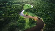 Deforestation Lowers Amazon Degradation Threshold Below 2°C Warming: Report