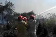 Delhi Fire Services faces 80% station officer vacancy, 1,030 total posts empty