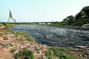 Delhi Govt Awards Rs 860 Crore Yamuna Cleanup Projects in Najafgarh