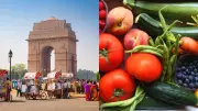 Delhi Heatwave: Ministry of Ayush Recommends 12 Foods and Drinks to Beat 44°C