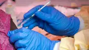 DGCA Issues Ebola Protocol for Airlines Flying from Africa Hotspots