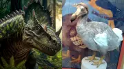 Dinosaurs and De-Extinction: Science, Ethics, and Human Fascination