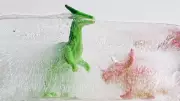 DIY Ice Experiments: Fun Science Activities for Kids at Home