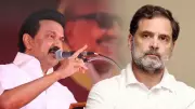 DMK Hits Out at Congress Over TNCC Decision on Vijay's Support Request