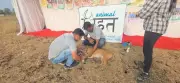 Dog Rescued After Four Years with Kettle Stuck Around Neck in Belagavi