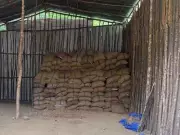 DRI Seizes 60,000 kg Smuggled Areca Nuts in Northeast India