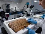 Easter Island Script Discovery Could Rewrite Human History