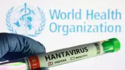 Ebola Not Like COVID-19, No Panic Needed: Experts Amid WHO Emergency Declaration