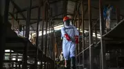 Ebola Outbreak in Central Africa: 867 Cases, 204 Deaths in Congo