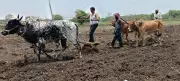 EC Approves Maharashtra's Farm Loan Waiver, Cabinet to Take Up Next Week
