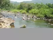 Ecological Risks of Mahadayi Diversion Highlighted in New Study