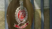 ED Arrests 'Godman' Ashok Kharat in Sexual Assault, Money Laundering Case
