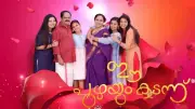 Ee Puzhayum Kadannu: A New Family Drama Captivates Malayalam TV Audience