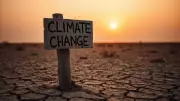 European Commission Urges WHO to Declare Climate-Health Emergency