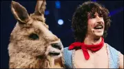 Eurovision 2026: Australia's Go-Jo Jokes About Austria Confusion