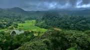 Exploring Environmental Studies: A Comprehensive Guide to the Field