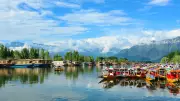 Exploring Timeless Beauty: A Journey Through Nature and Culture