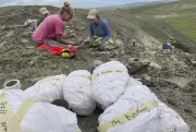 Family Walk in North Dakota Leads to Rare Teen T. rex Discovery