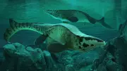 Fearsome Marine Reptile Tylosaurus Rex Rivals T-Rex in Ferocity