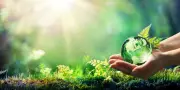Finding the Meaning of Life Sustainably: A New Perspective on Purpose