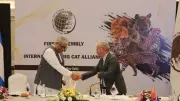 First International Big Cat Alliance Summit in New Delhi Deferred