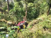 Five killed as car plunges into gorge in Nainital district