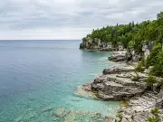 Five US Northern Lakes and Rivers With High Snake Populations Revealed