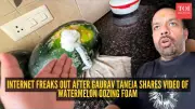 Flying Beast's Foaming Watermelon Video Sparks Chemical Fears Online