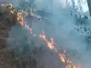 Forest Fires Erupt in Rajouri, J&K; Teams Deployed to Control Blaze