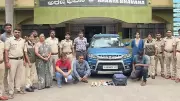 Four Arrested in Mysuru for Illegal Sale of Elephant Tusks