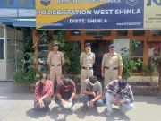 Four Haryana Tourists Arrested for Assaulting HRTC Driver